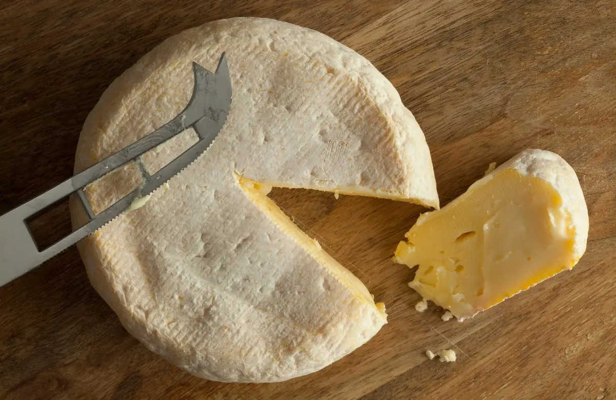queso reblochon tartiflette