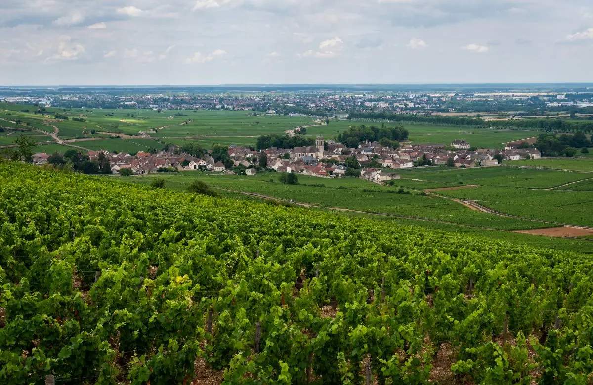 claves para vivir en la francia rural